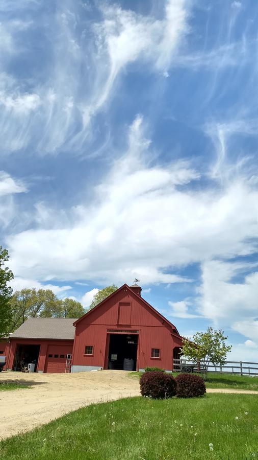 Woodstock Sustainable Farms Villa Oda fotoğraf