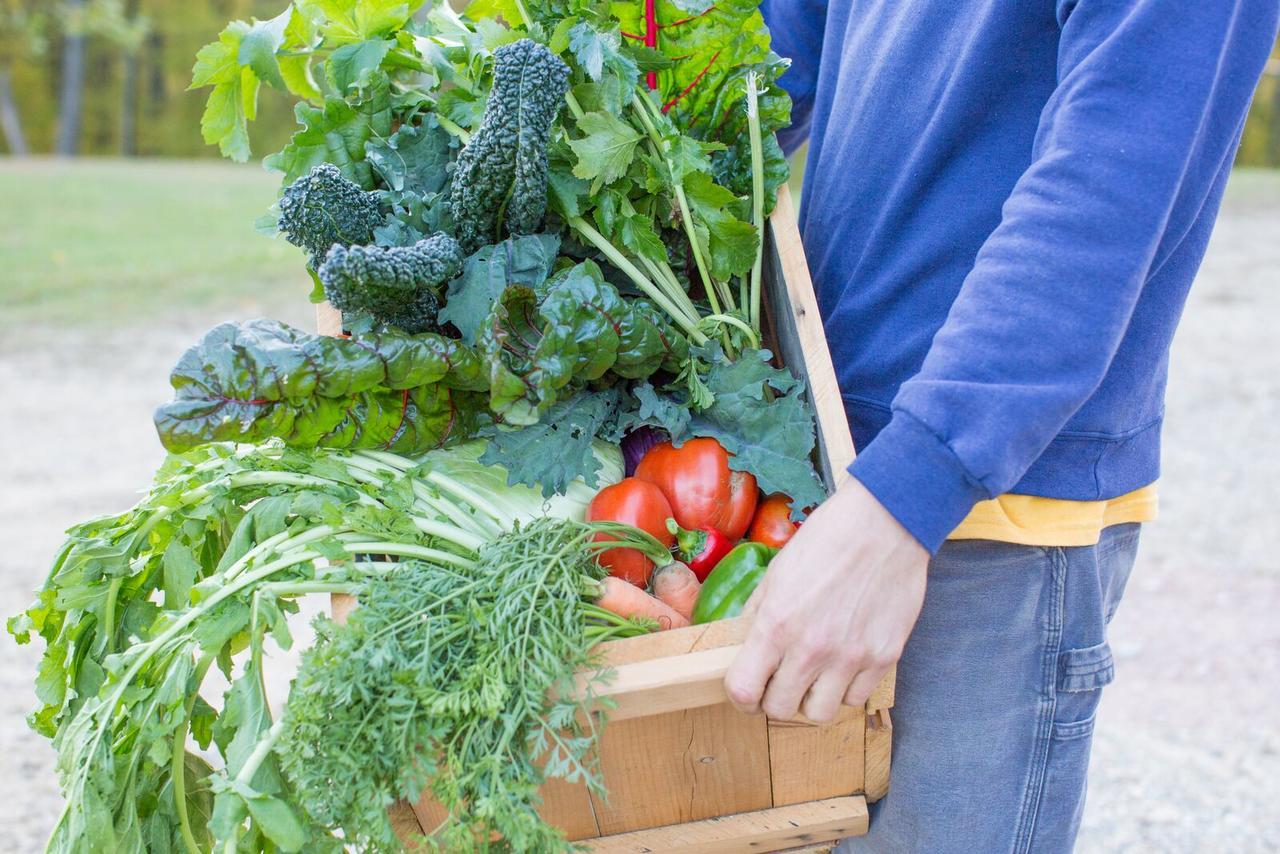 Woodstock Sustainable Farms Villa Oda fotoğraf
